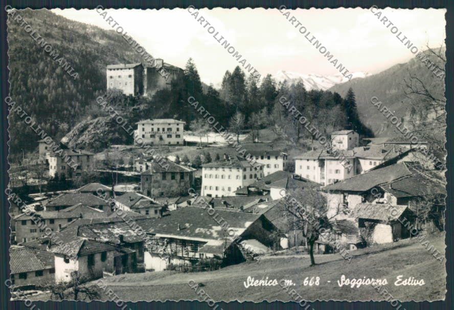 Trento Stenico foto FG cartolina MQ0532 – fronte
