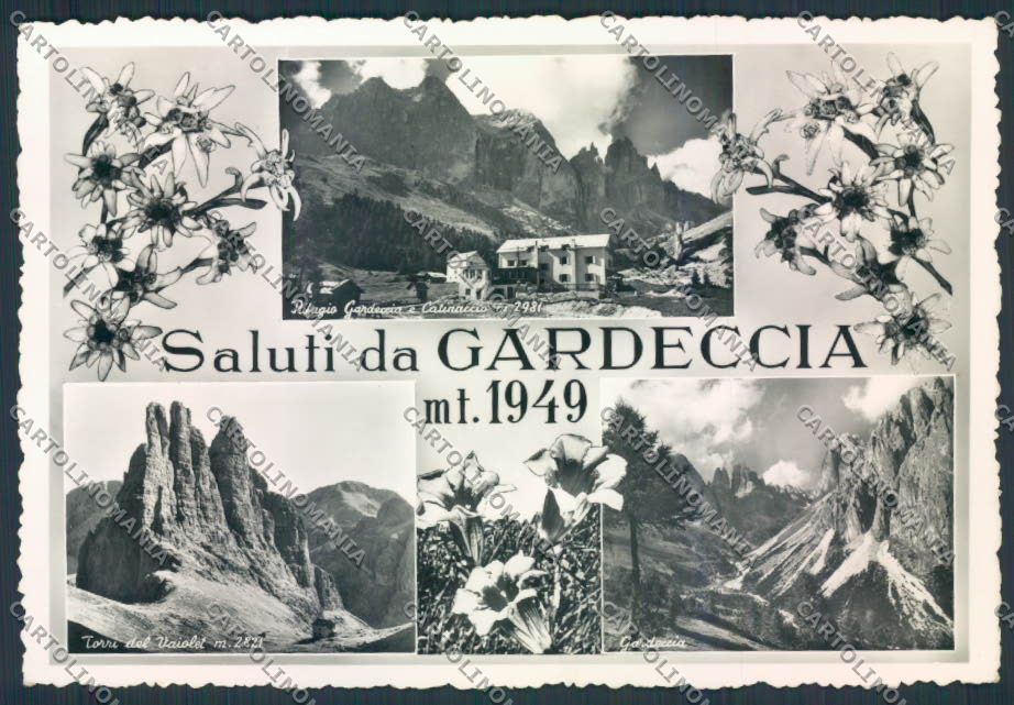 Trento Gardeccia Saluti da foto FG cartolina MQ0539 – fronte