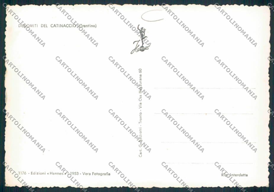 Trento Gardeccia Saluti da foto FG cartolina MQ0539 – retro