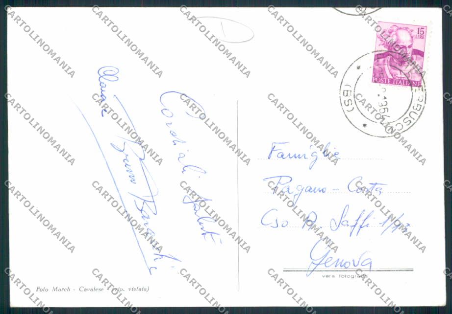 Trento Cavalese foto FG cartolina MQ0546 – retro