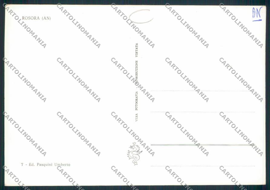 Ancona Rosora foto FG cartolina MQ0780 – retro