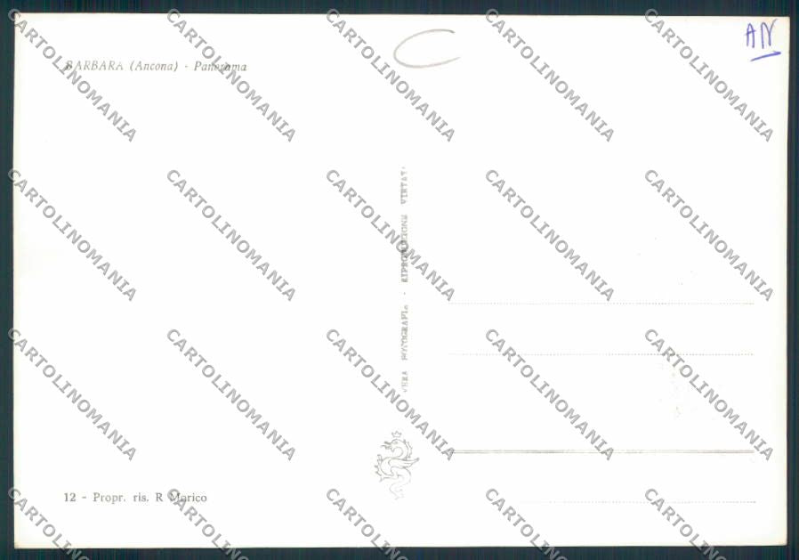 Ancona Barbara foto FG cartolina MQ0785 – retro