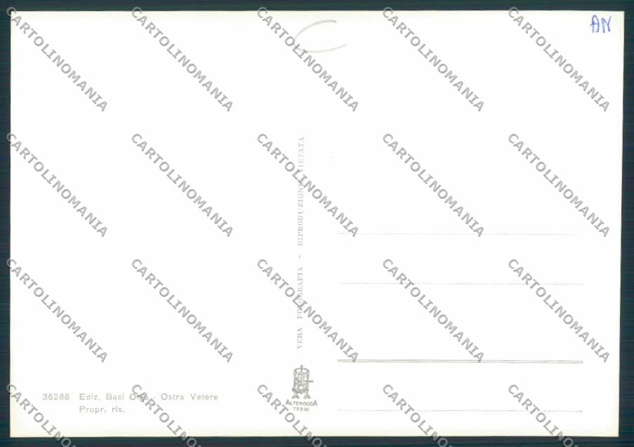 Ancona Ostra Vetere foto FG cartolina MQ0787 – retro