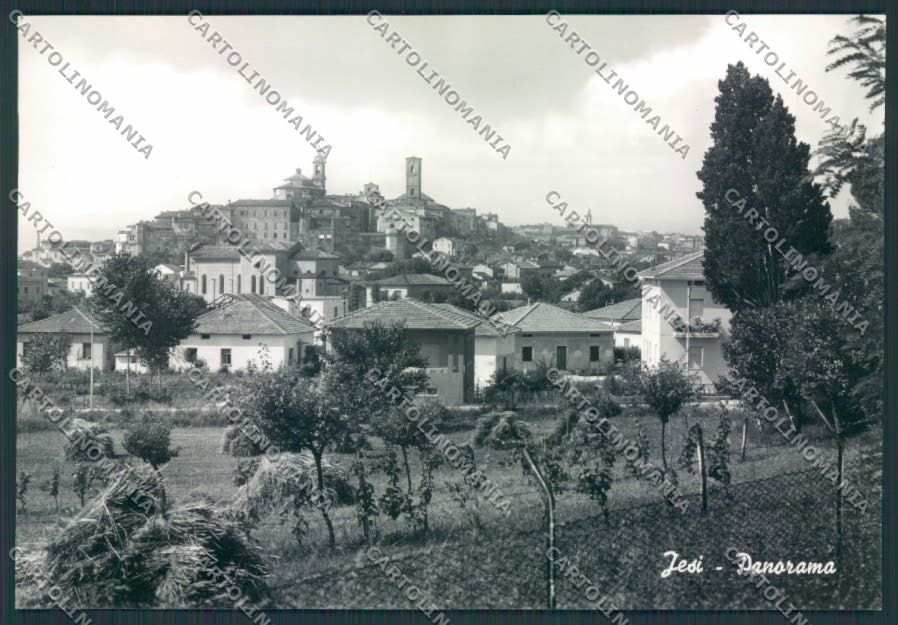 Ancona Jesi foto FG cartolina MQ0878 – fronte