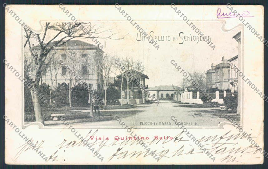 Ancona Senigallia PIEGATA cartolina MQ0921 – fronte