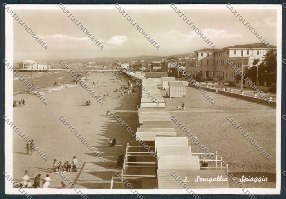 Ancona Senigallia foto FG cartolina MQ0940 – fronte