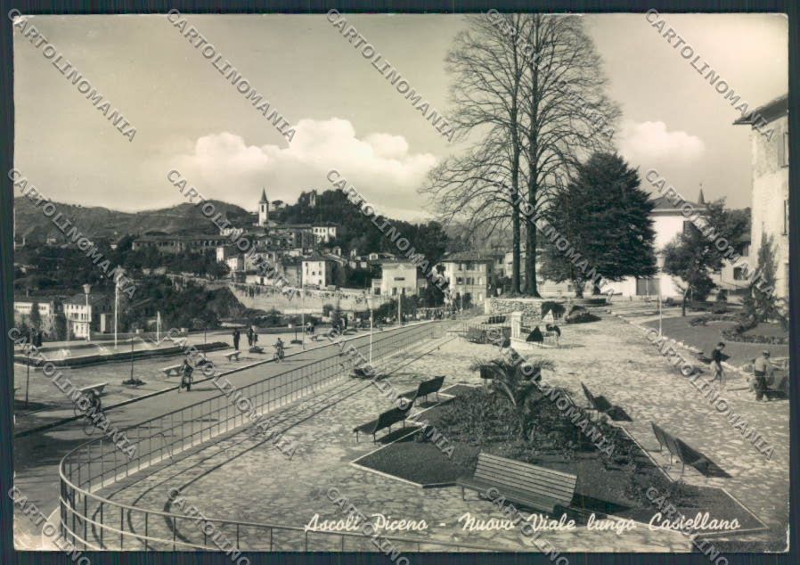 Ascoli Piceno città foto FG cartolina MQ0984 – fronte