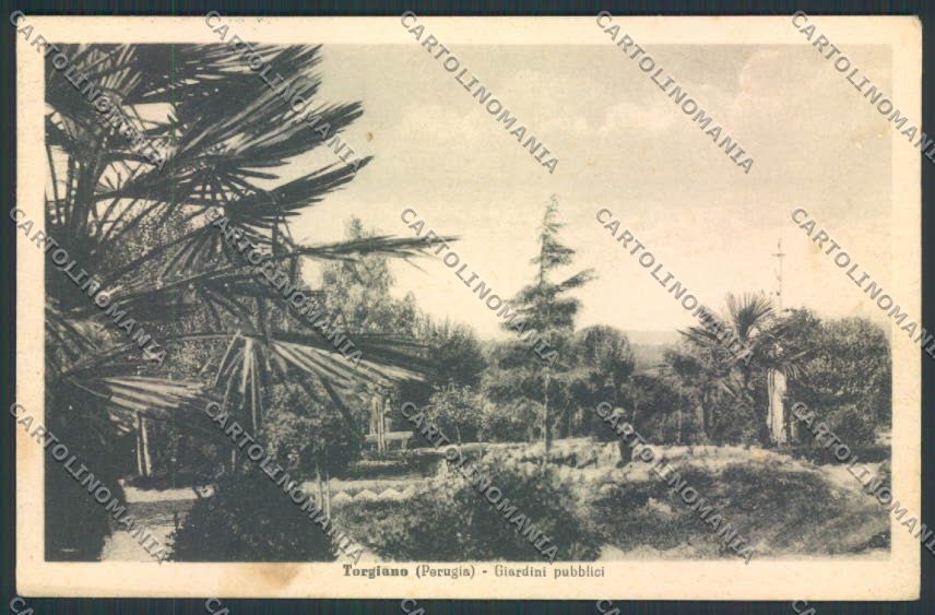 Perugia Torgiano ABRASA cartolina MQ1263 – fronte