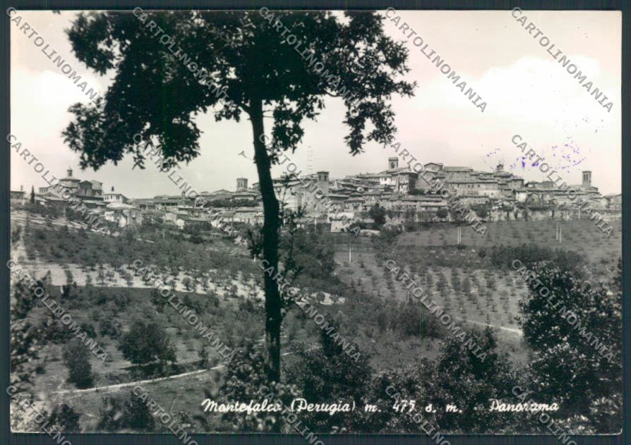 Perugia Montefalco Foto FG cartolina MQ1326 – fronte