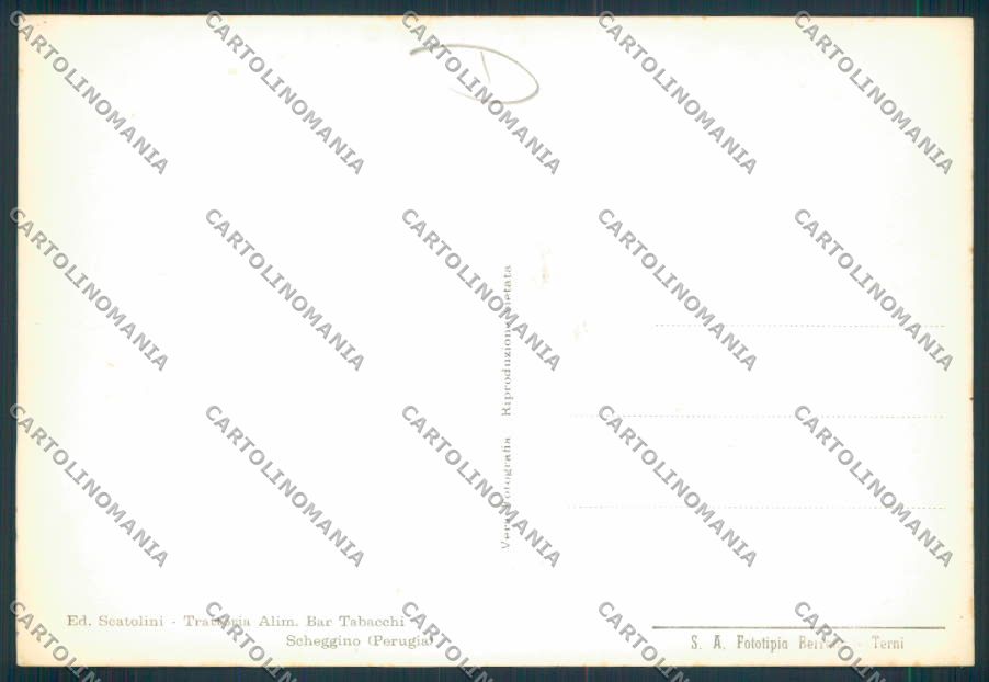 Perugia Scheggino Foto FG cartolina MQ1356 – retro