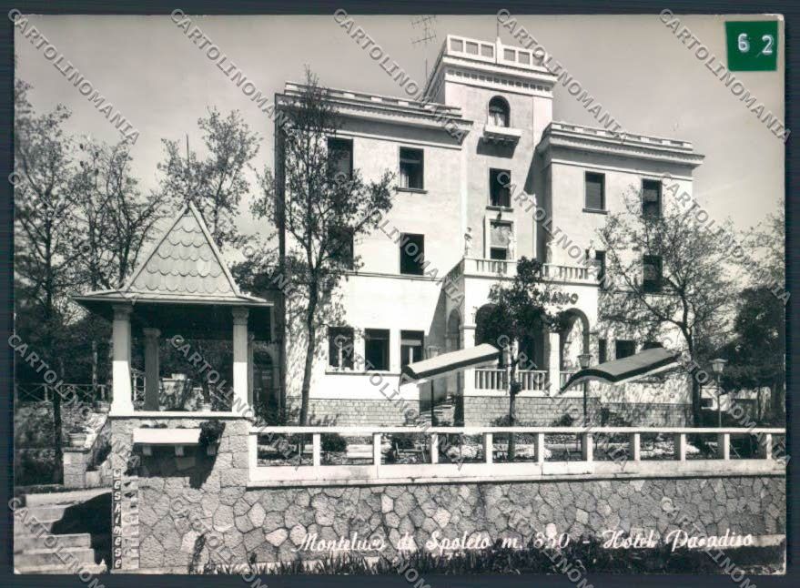 Perugia Spoleto Monteluco ADESIVO Foto FG cartolina MQ1496 – fronte