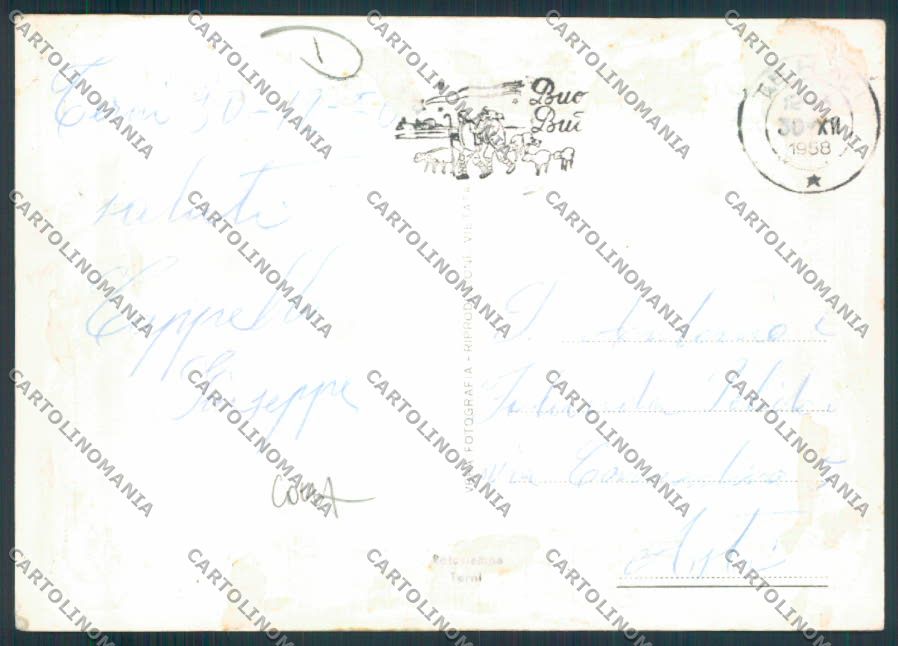Terni Città ADESIVO COLLA Foto FG cartolina MQ1524 – retro