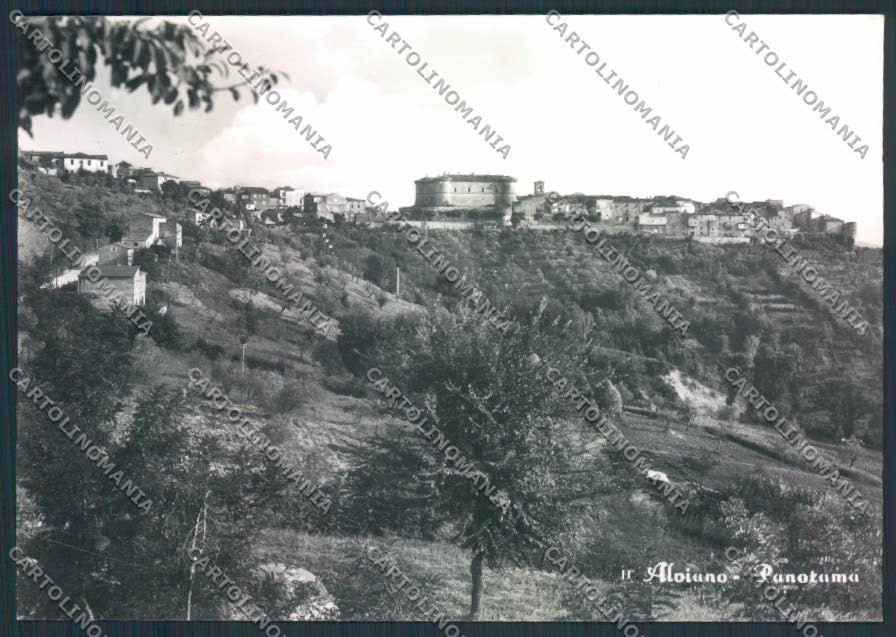 Terni Alviano Foto FG cartolina MQ1566 – fronte