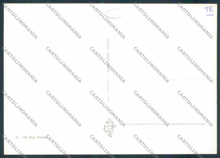 Terni Alviano Foto FG cartolina MQ1566 – retro