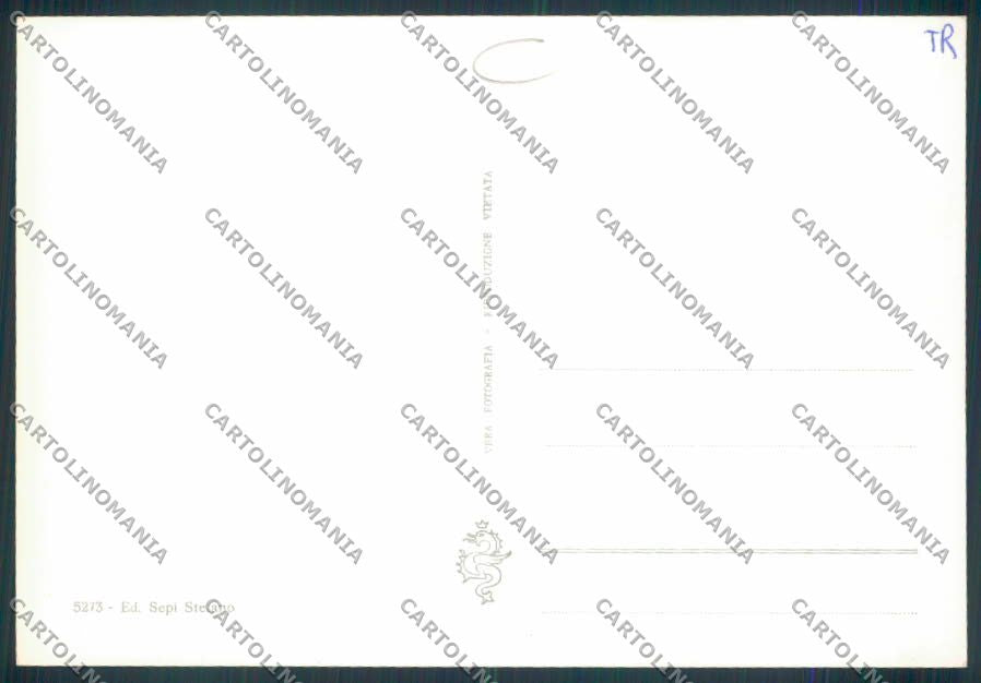 Terni Alviano Foto FG cartolina MQ1567 – retro
