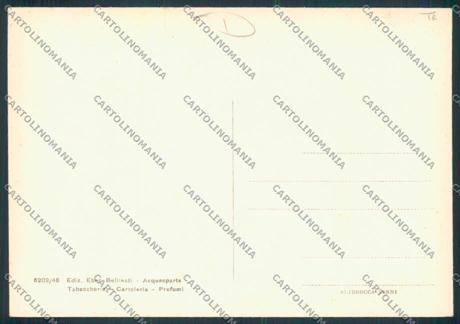Terni Acquasparta FG cartolina MQ1584 – retro