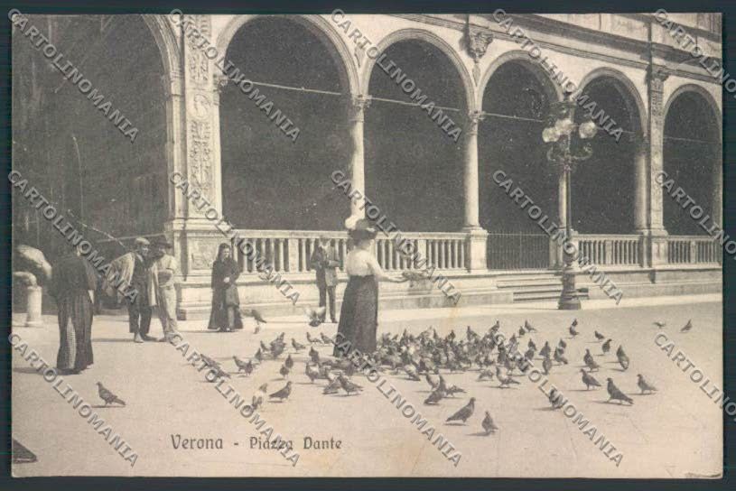 Verona città FORO STRAPPO cartolina MQ2514 – fronte