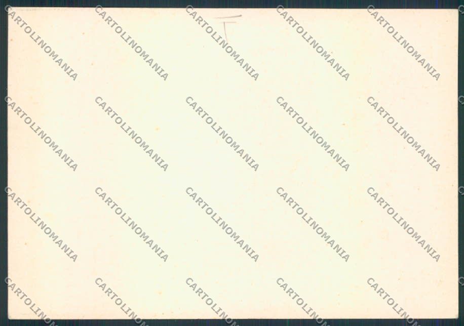 Verona Carnevale FG cartolina MQ2681 – retro
