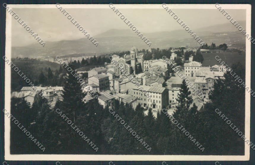Verona Bosco Chiesanuova Foto cartolina MQ2709 – fronte