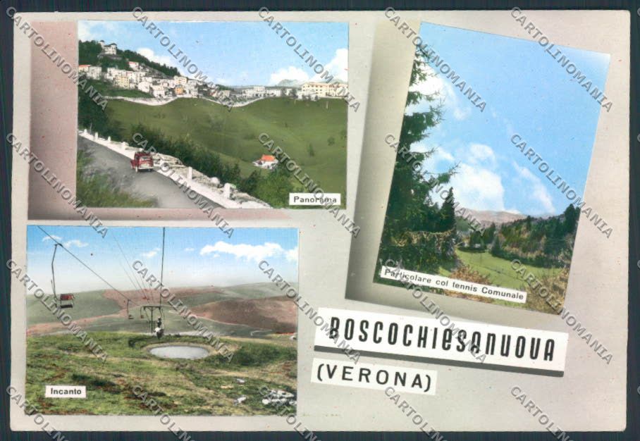 Verona Bosco Chiesanuova PIEGATA Foto FG cartolina MQ2771 – fronte