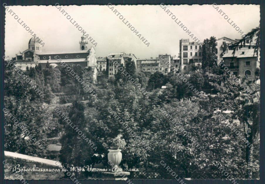 Verona Bosco Chiesanuova Foto FG cartolina MQ2774 – fronte