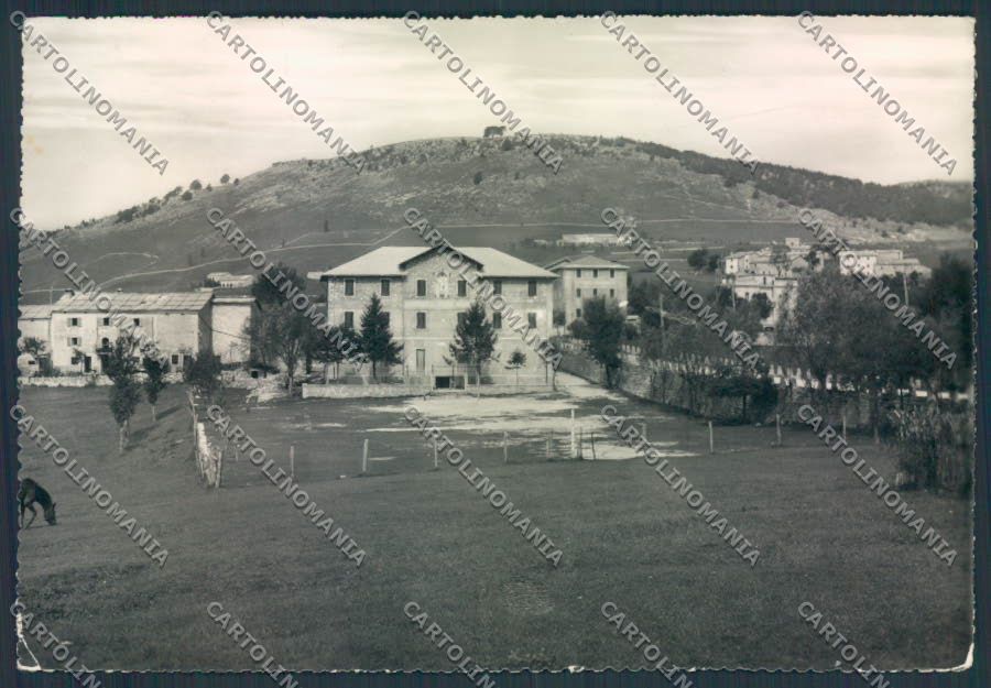 Verona Erbezzo ABRASA Foto FG cartolina MQ2786 – fronte