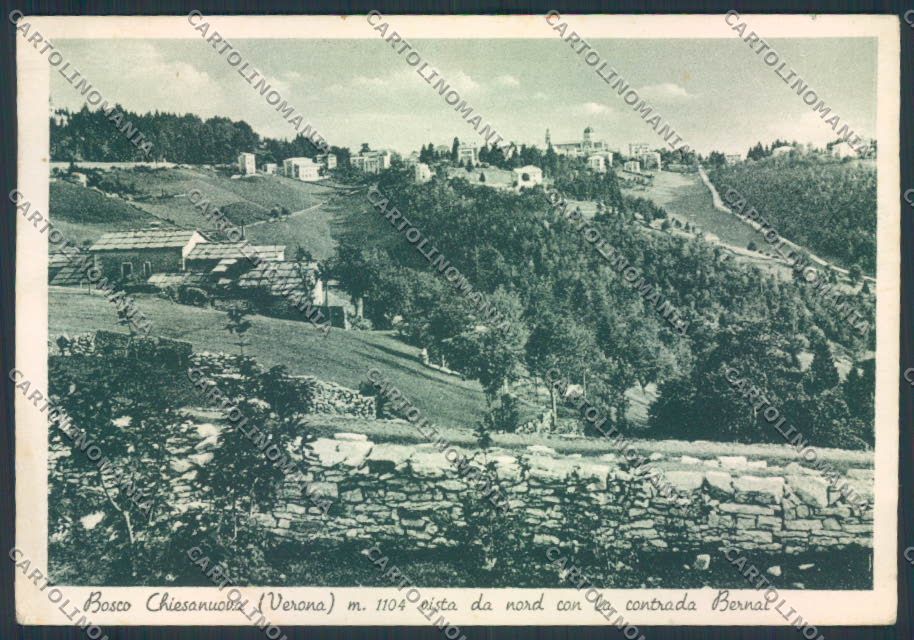 Verona Bosco Chiesanuova FG cartolina MQ2789 – fronte