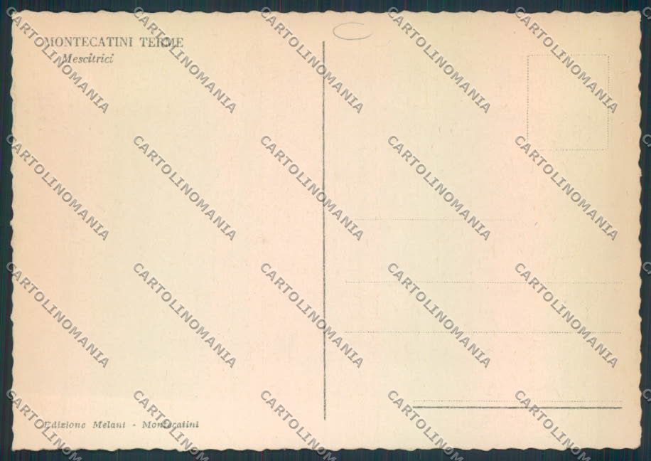 Pistoia Montecatini FG cartolina MQ2914 – retro