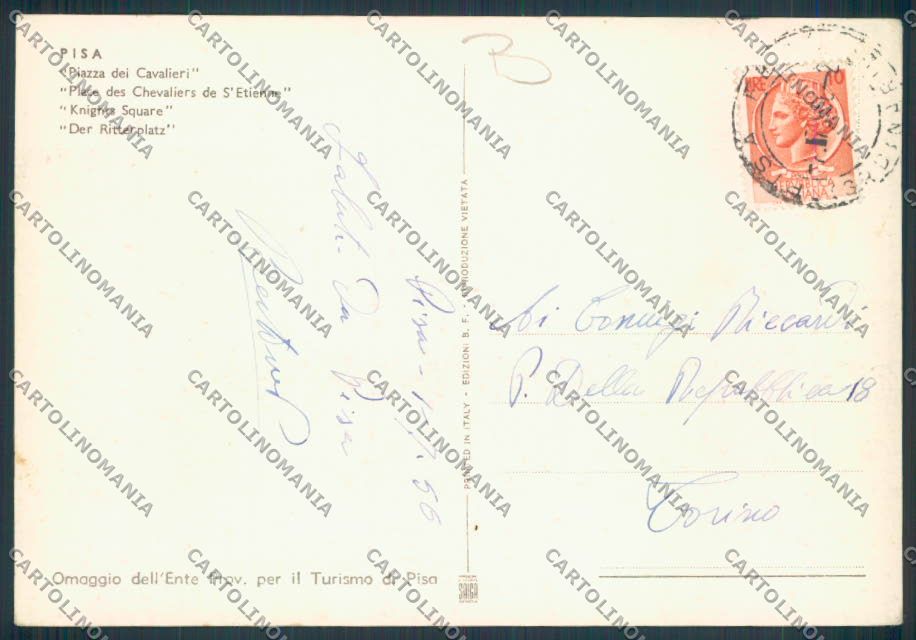 Pisa città FG cartolina MQ3009 – retro