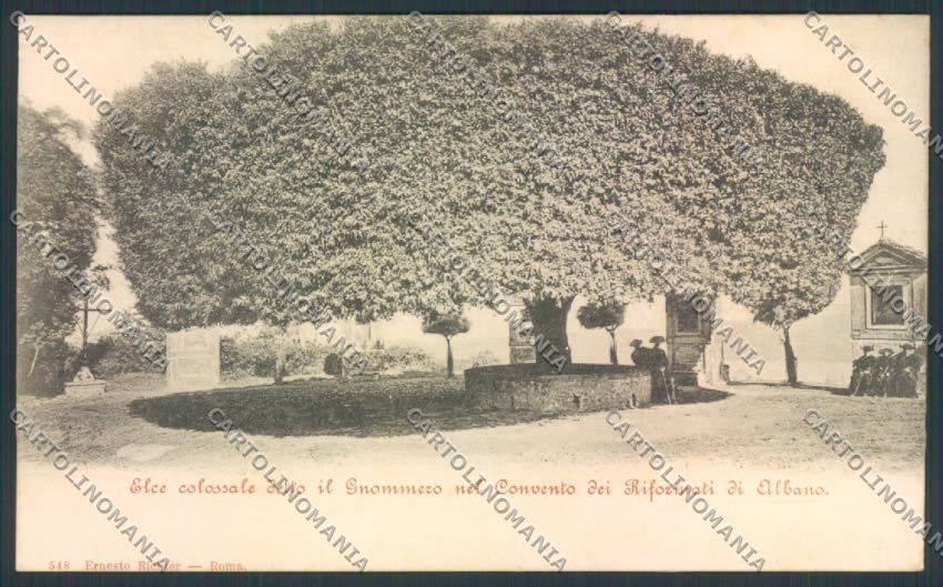 Roma Albano cartolina MQ3534 – fronte