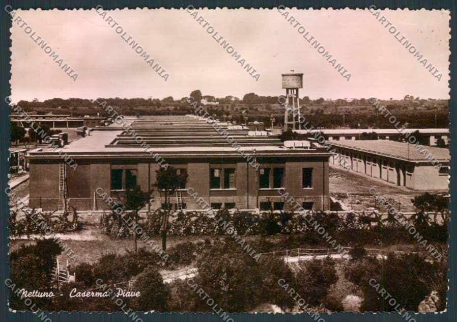 Roma Nettuno Foto FG cartolina MQ3581 – fronte