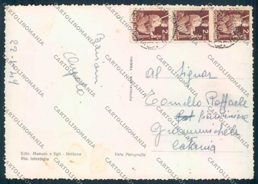 Roma Nettuno Foto FG cartolina MQ3581 – retro