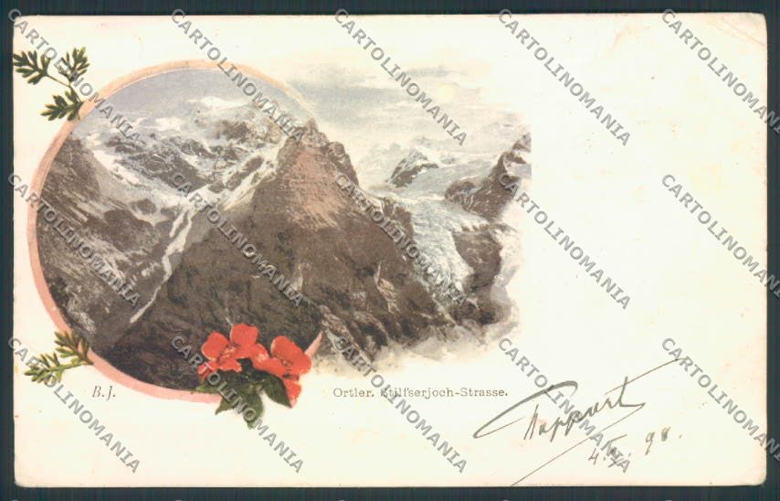 Bolzano Ortler FORO PIEGHINE cartolina MQ3659 – fronte