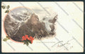 Bolzano Ortler FORO PIEGHINE cartolina MQ3659 – fronte