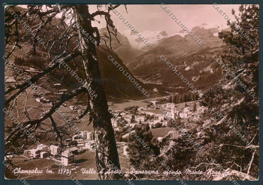Aosta Ayas Champoluc foto FG cartolina MQ3979 – fronte
