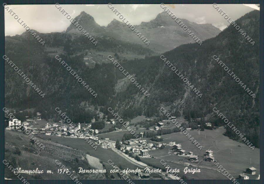 Aosta Ayas Champoluc foto FG cartolina MQ3987 – fronte