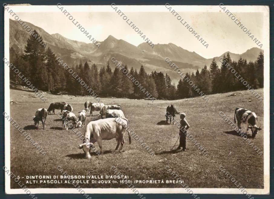 Aosta Brusson foto FG cartolina MQ4062 – fronte