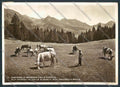Aosta Brusson foto FG cartolina MQ4062 – fronte