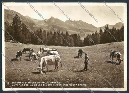 Aosta Brusson foto FG cartolina MQ4062 – fronte