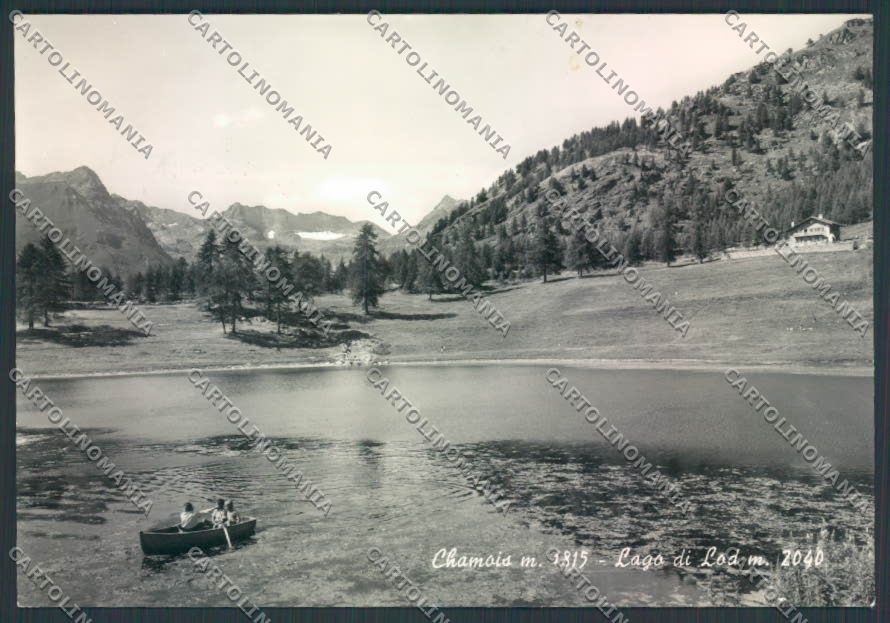 Aosta Chamois foto FG cartolina MQ4082 – fronte