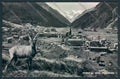 Aosta Cogne foto cartolina MQ4160 – fronte