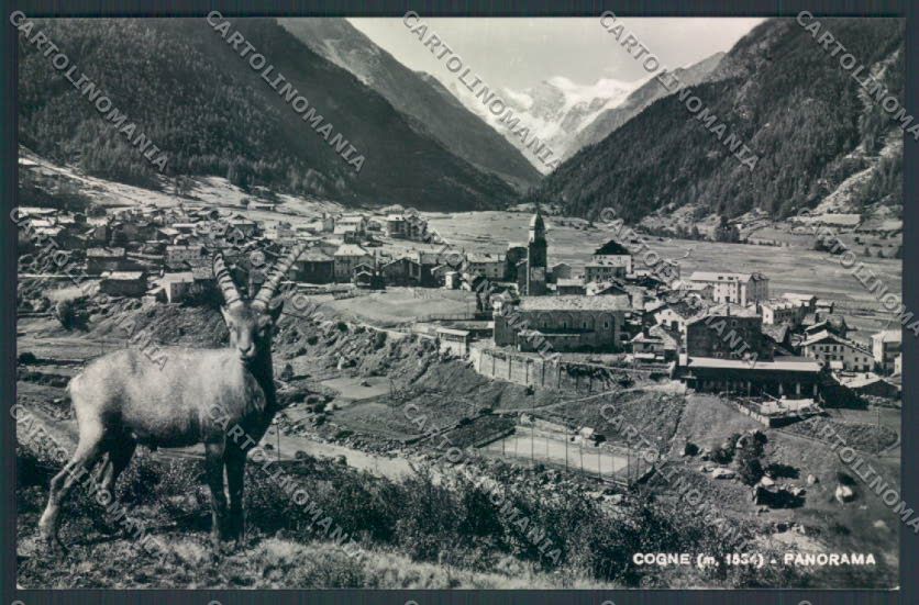 Aosta Cogne foto cartolina MQ4160 – fronte