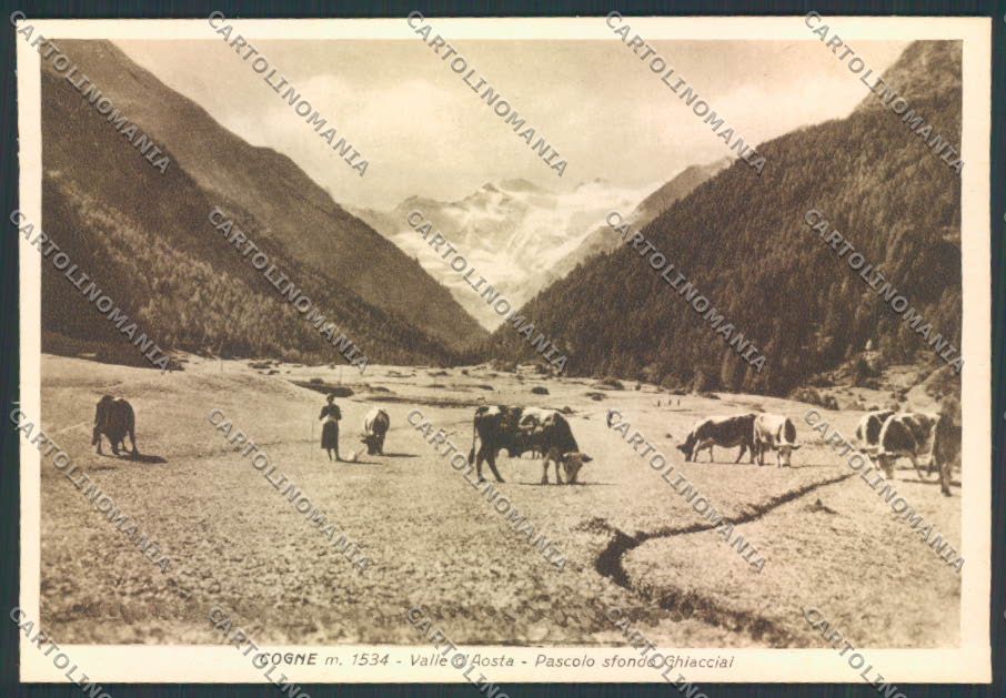 Aosta Cogne FG cartolina MQ4200 – fronte