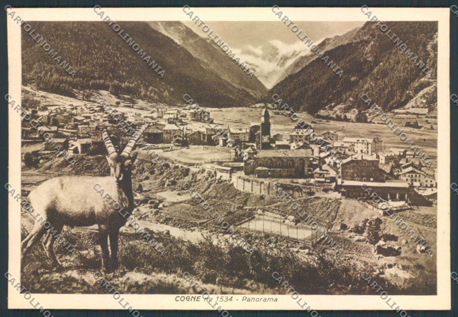 Aosta Cogne FG cartolina MQ4205 – fronte