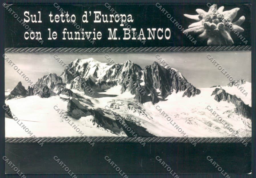 Aosta Courmayeur M. Bianco foto FG cartolina MQ4320 – fronte