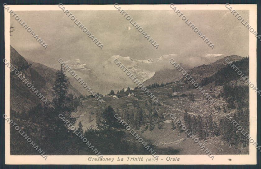 Aosta Gressoney La Trinité Orsia cartolina MQ4402 – fronte