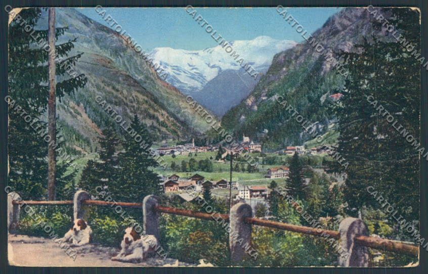Aosta Gressoney Saint Jean ABRASA cartolina MQ4437 – fronte