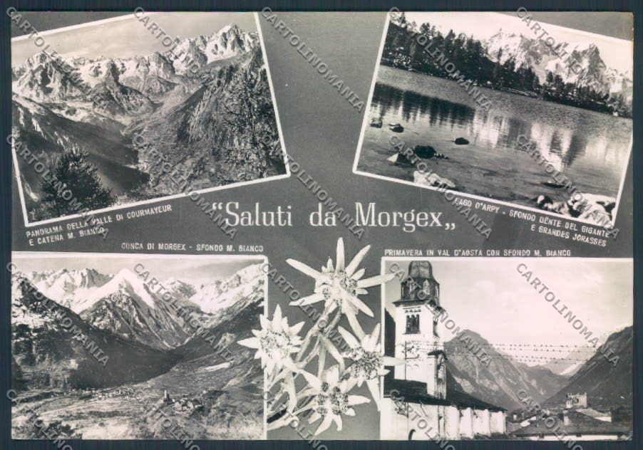 Aosta Morgex Saluti da foto FG cartolina MQ4554 – fronte