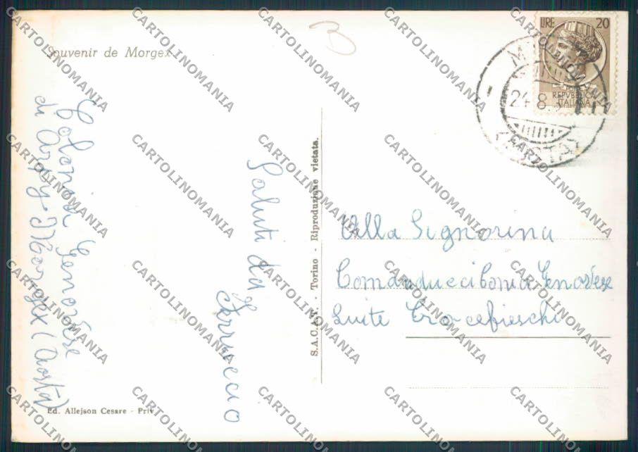 Aosta Morgex Saluti da foto FG cartolina MQ4554 – retro