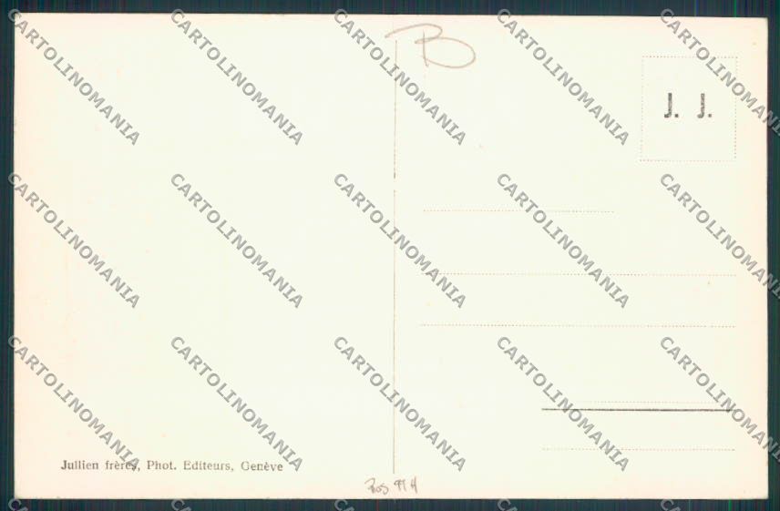 Aosta San Bernardo Grande Dog cartolina MQ4625 – retro